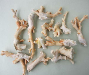 ~bhijX̌ 13{Zbg 1110gw΃TSxANZT[ޗ w΃TSx X荥 җ a j   3̒a Mtg v[g 35N XEl