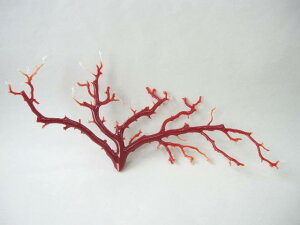 {EmYԎX q u  u  w΃TSx X荥 җ a j   3̒a Mtg v[g 35N XEl ƕ