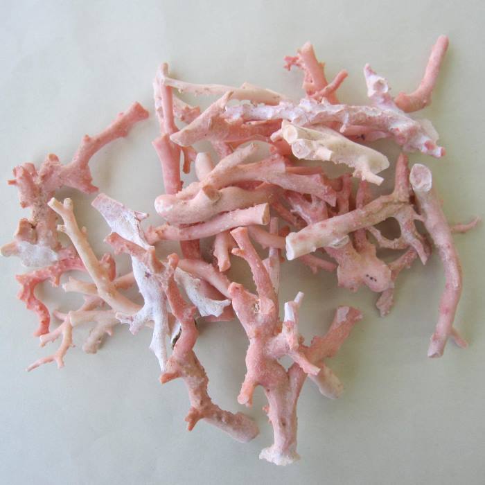 ピンク （ガーネ） 珊瑚 原木 1セット （375g入り）アクセサリー材料