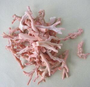 ピンク (ガーネ) 珊瑚 原木 1セット (375g入り)アクセサリー材料 宝石サンゴ 珊瑚婚 還暦 誕生日 御祝 厄除 御守 3月の誕生石 ギフト プレゼント 結婚35周年 珊瑚職人