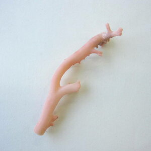 sN iK[lj X } p[c ANZT[ޗ  ΃TS X荥 җ a j   3̒a Mtg v[g 35N XEl