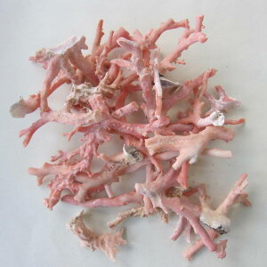 ピンク(ガーネ)珊瑚 原木 1セット (375g入り) 枝 アクセサリー材料 『宝石サンゴ』 珊瑚婚 還暦 誕生日 御祝 厄除 御守 3月の誕生石 ギフト プレゼント 結婚35周年 珊瑚職人