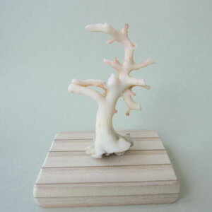 ~bhijX  q u t ΃TS X荥 җ a j   3̒a Mtg v[g 35N XEl