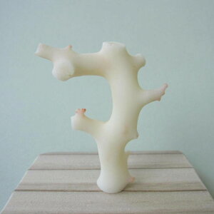 ~bhijX  q u t ΃TS X荥 җ a j   3̒a Mtg v[g 35N XEl