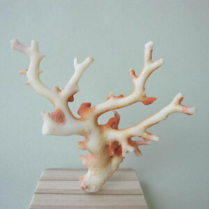 ~bhijX  q u t ΃TS X荥 җ a j   3̒a Mtg v[g 35N XEl