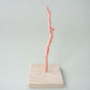 ピンク(ガーネ)珊瑚 原木 拝見 置物 飾り台付き 宝石サンゴ 珊瑚婚 還暦 誕生日 御祝 厄除 御守 3月の誕生石 ギフト プレゼント 結婚35周年 珊瑚職人