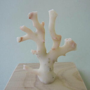 ~bhijX  q u t ΃TS X荥 җ a j   3̒a Mtg v[g 35N XEl