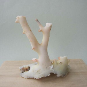 ~bhijX  q uw΃TSx X荥 җ a j   3̒a Mtg v[g 35N XEl