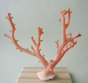 sNiK[ljX  q u t ΃TS X荥 җ a j   3̒a Mtg v[g 35N XEl