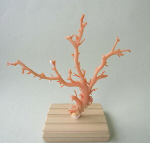 sNiK[ljX  q u t ΃TS X荥 җ a j   3̒a Mtg v[g 35N XEl