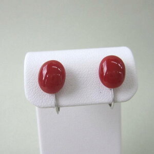 { mYԎX I[o CO i10.1×8~j Pt900 VR w΃TSx X荥 җ a j   3̒a Mtg v[g 35N XEl