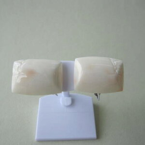 TS XNGACO K14WG w΃TSx X荥 җ a j   3̒a Mtg v[g 35N XEl
