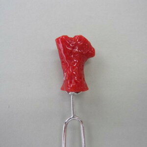 {EmYԎX }񂴂 a wAANZT[ w΃TSx X荥 җ a j   3̒a Mtg v[g 35N XEl