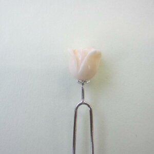 ~bhX KNQ 񂴂 o ڂ a wAANZT[ w΃TSx X荥 җ a j   3̒a Mtg v[g 35N XEl