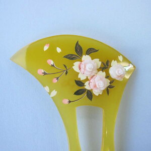 sNX ỏ 񂴂 KN G a o`^ ΃TS X荥 җ a j   3̒a Mtg v[g 35N XEl