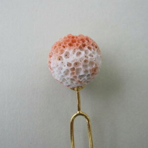 X  񂴂 19~ a   w΃TSx X荥 җ a j   3̒a Mtg v[g 35N XEl