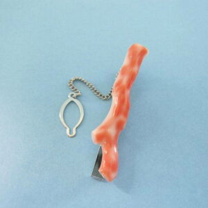 sNX }̃^Cs ^Co[ YACe w΃TSx X荥 җ a j   3̒a Mtg v[g 35N XEl