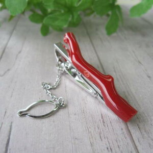 {EmYԃTS }̃^Cs lN^Cs ^Co[ YACe ΃TS X荥 җ a j   3̒a Mtg v[g 35N XEl