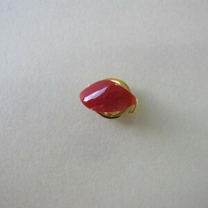 { mYԎX ό` s^bNEsu[` ys ΃TS X荥 җ a j   3̒a Mtg v[g 35N XEl