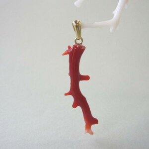 { mYԎX i`Ȏ} y_ggbv w΃TSx X荥 җ a j   3̒a Mtg v[g 35N XEl