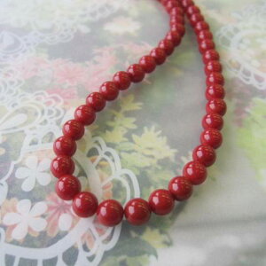 C^AYԎX lbNX 6.5~ 42Z` K18 TW w΃TSx X荥 җ a j   3̒a Mtg v[g 35N XEl