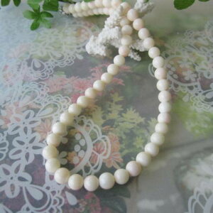 ~bhX̃lbNX. i7.5~j 44Z` SILVER w΃TSx X荥 җ a j   3̒a Mtg v[g 35N XEl