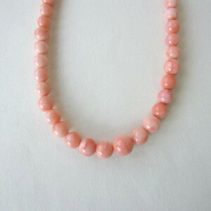 sNX lbNX. iZ^[7~j ^J w΃TSx X荥 җ a j   3̒a Mtg v[g 35N XEl