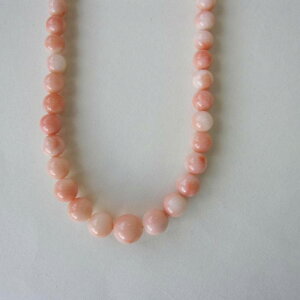 sNX lbNX iZ^[8.3~j K18 w΃TSx X荥 җ a j   3̒a Mtg v[g 35N XEl