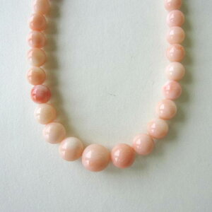 sNX lbNX iZ^[9~j SILVERAWX^[ ΃TS X荥 җ a j   3̒a Mtg v[g 35N XEl