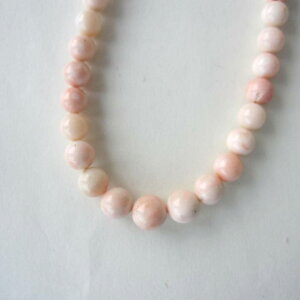 X lbNX ^J  w΃TSx X荥 җ a j   3̒a Mtg v[g 35N XEl