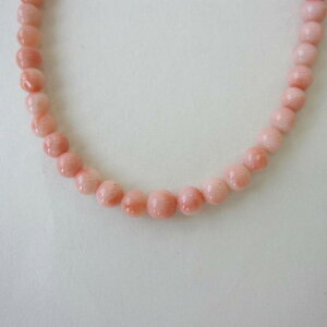 sNX lbNX iZ^[6~j ^J w΃TSx X荥 җ a j   3̒a Mtg v[g 35N XEl