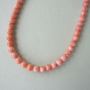 sNX lbNX iZ^[6.3~j SILVERAWX^[ ΃TS X荥 җ a j   3̒a Mtg v[g 35N XEl