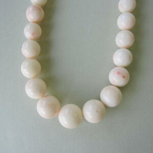 ~bhX Of[V lbNX Z^[15.3~ 49Z` ^J}Olbg ΃TS X荥 җ a j   3̒a Mtg v[g 35N XEl