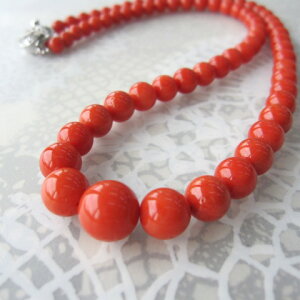 C^AYԎX lbNX Z^[11~ 54Z` SILVER TW w΃TSx X荥 җ a j   3̒a Mtg v[g 35N XEl