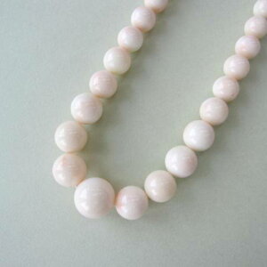 ~bhX Of[VlbNX iZ^[13.7~j SILVER w΃TSx X荥 җ a j   3̒a Mtg v[g 35N XEl