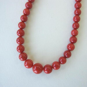 C^AYԎX lbNX Z^[10.4~ 44Z` K14 ΃TS X荥 җ a j   3̒a Mtg v[g 35N XEl