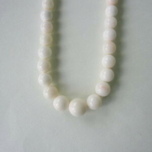 ~bhX Of[VlbNX iZ^[11.2~j SILVER w΃TSx X荥 җ a j   3̒a Mtg v[g 35N XEl