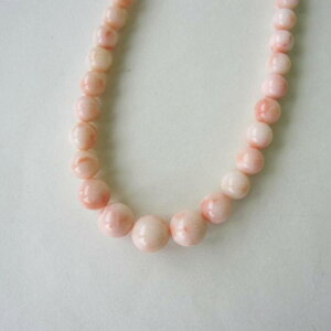 sNX lbNX iZ^[10.4~j G.SILVER w΃TSx X荥 җ a j   3̒a Mtg v[g 35N XEl