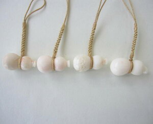 ~bhX Z\ t Ђ傤 l a w΃TSx X荥 җ a j   3̒a Mtg v[g 35N XEl