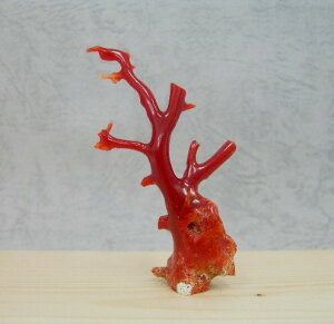 yYԎX q u ΃TS X荥 җ a j   3̒a Mtg v[g 35N XEl