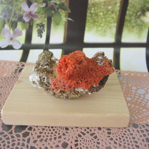 高知沖産赤珊瑚 株 拝見 置物 文鎮 『宝石サンゴ』 珊瑚婚 還暦 誕生日 御祝 厄除 御守 3月の誕生石 ギフト プレゼント 結婚35周年 珊瑚職人 家宝