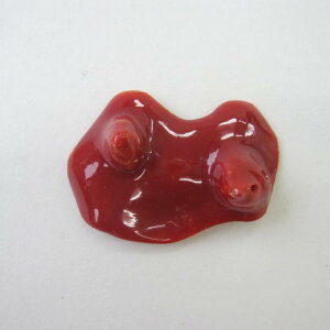 { mYԎX u  VR  ΃TS X荥 җ a j   3̒a Mtg v[g 35N XEl