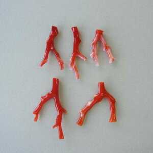 {EmYԎX }p[c i1j  w΃TSx X荥 җ a j   3̒a Mtg v[g 35N XEl