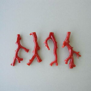 {EmYԎX }p[c  VR w΃TSx X荥 җ a j   3̒a Mtg v[g 35N XEl