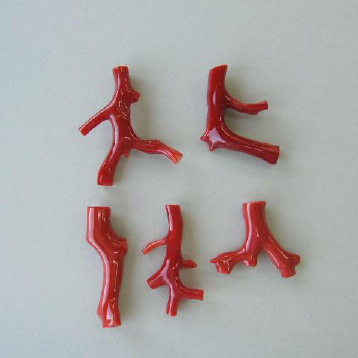 楽天市場 高知産赤珊瑚の枝パーツ手作り 天然サンゴ さんご 宝石サンゴ 珊瑚職人館ー土佐