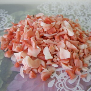 sNX̃`bv 20 (75g)  w΃TSx X荥 җ a j   3̒a Mtg v[g 35N XEl