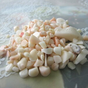 X̃`bv 20i75gj  w΃TSx X荥 җ a j   3̒a Mtg v[g 35N XEl