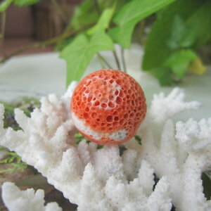 桃珊瑚 す玉 パーツ (穴なし) 24.8ミリ 手芸 ビーズ 『宝石サンゴ』 珊瑚婚 還暦 誕生日 御祝 厄除 御守 3月の誕生石 ギフト プレゼント 結婚35周年 珊瑚職人