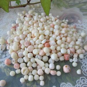 白珊瑚のチップ 一袋30匁 (約100g) お買い得 『宝石サンゴ』 珊瑚婚 還暦 誕生日 御祝 厄除 御守 3月の誕生石 ギフト プレゼント 結婚35周年 珊瑚職人