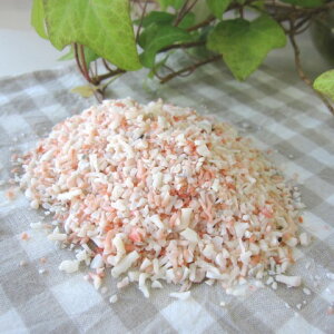 EsNX }`bv 30 i100gj ΃TS X荥 җ a j   3̒a Mtg v[g 35N XEl